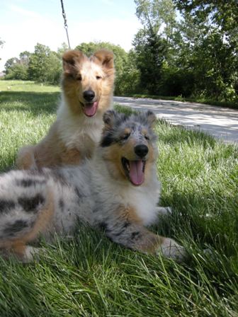13 weeks - Samson & Mark